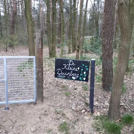 Vakantiewoning De Kleine Duinberg - Nr 11 Retie